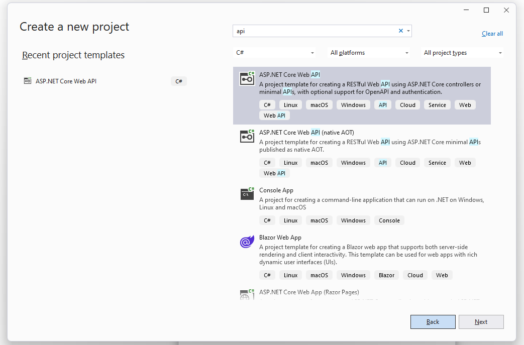 ASP.NET Core Web API Project Template