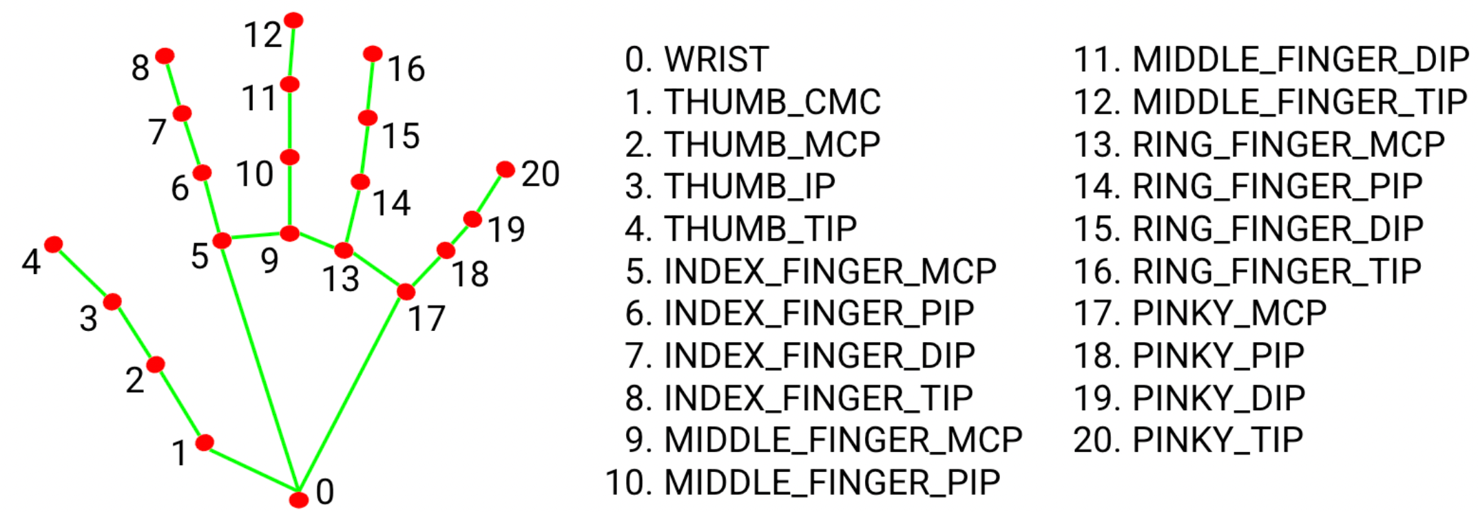 Hand Landmarks